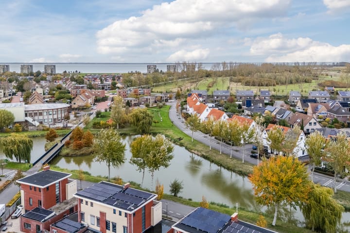 Foto 43 van Meerkoet 5