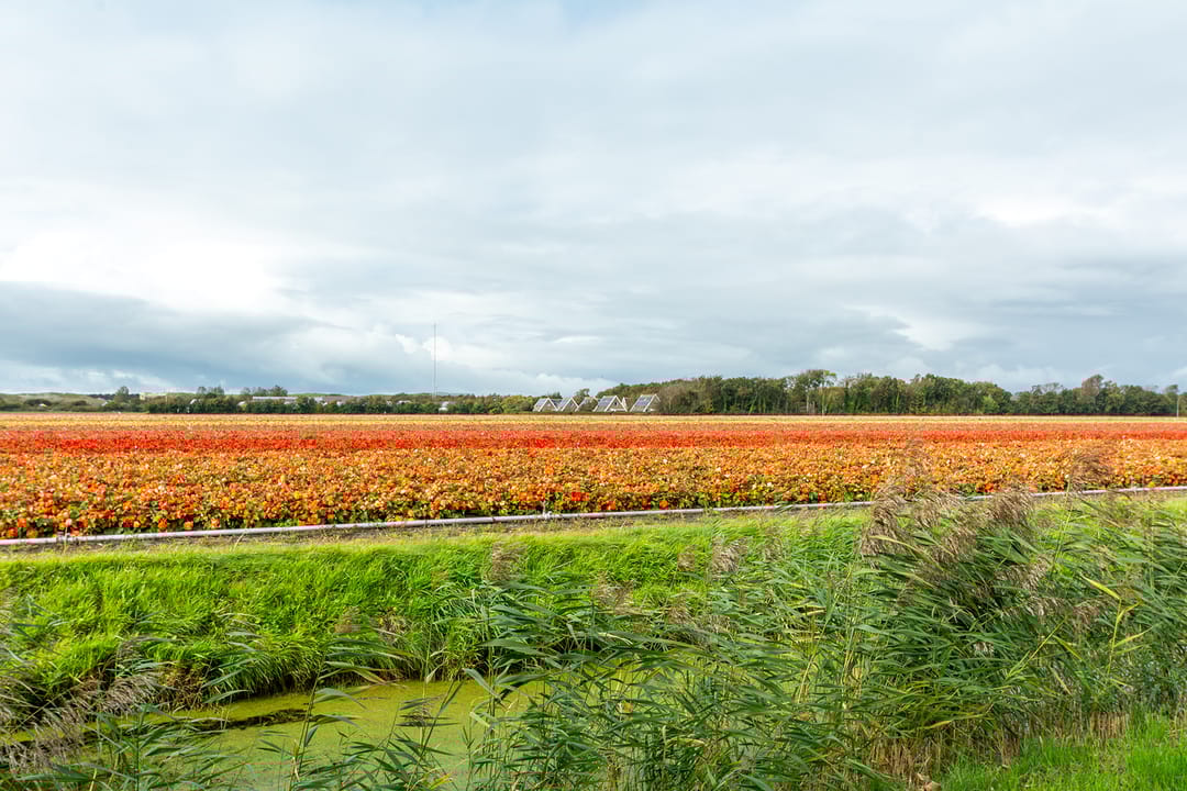 Foto 32 van Belkmerweg 79-CH24