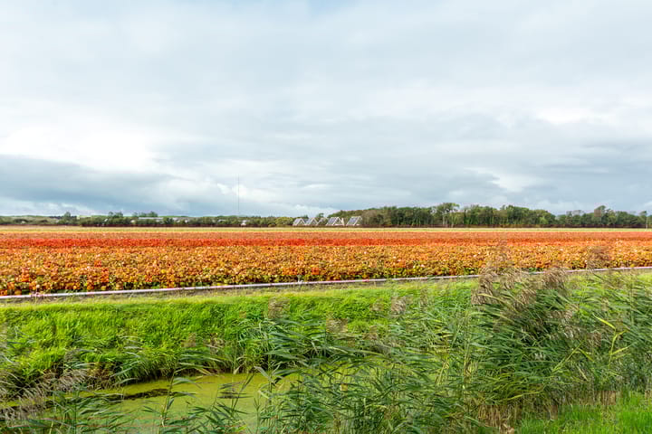 Foto 32 van Belkmerweg 79-CH24