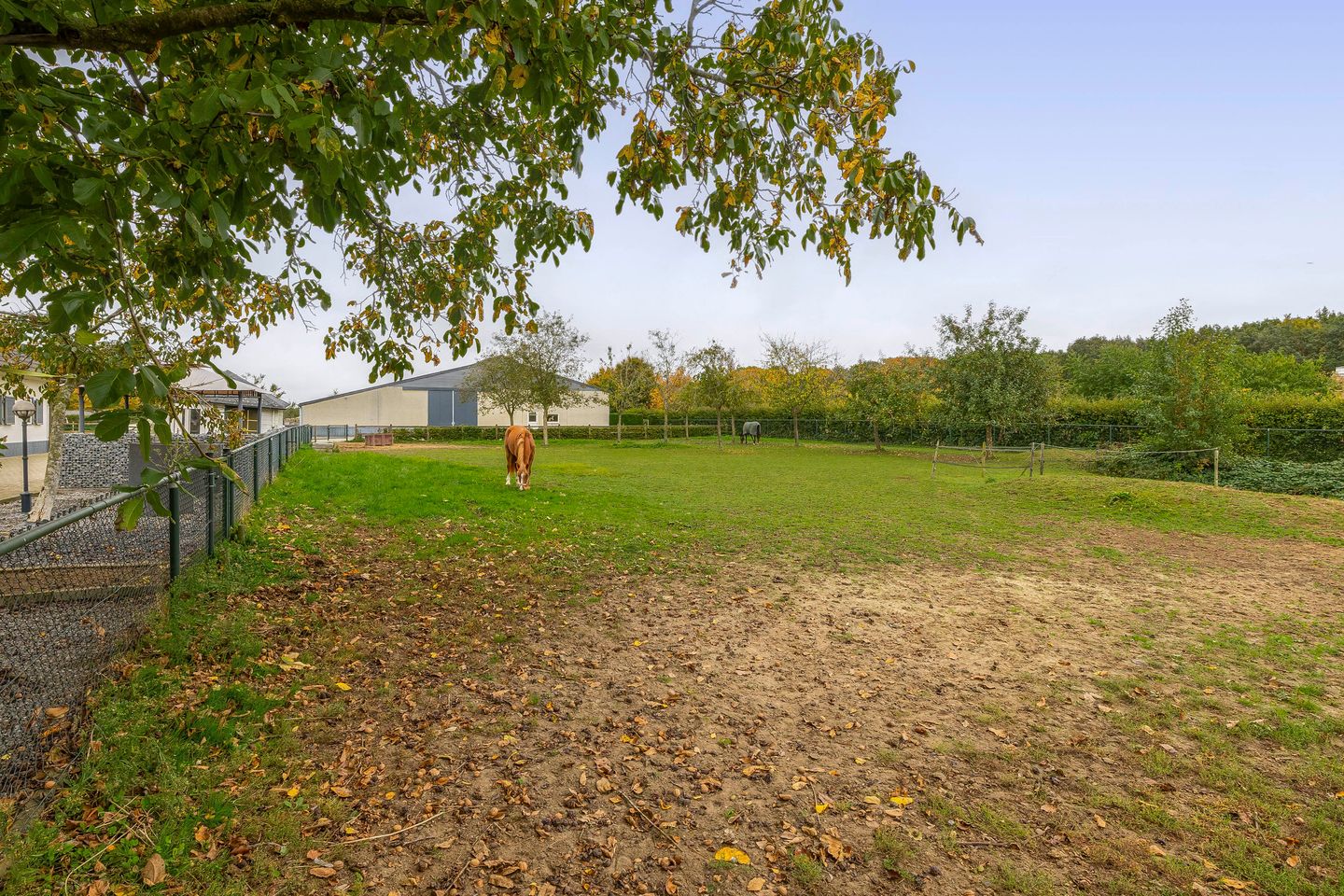 View photo 5 of Thuserhof 22