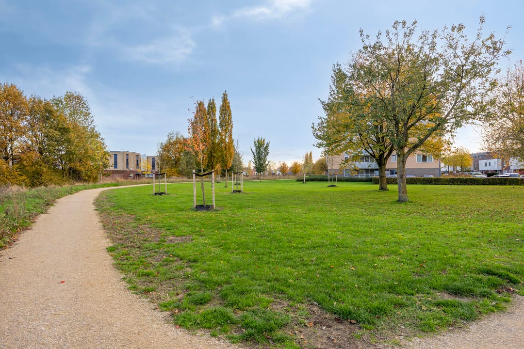 Photo 31 of Musketier 8