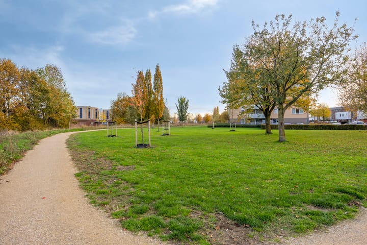 Photo 31 of Musketier 8