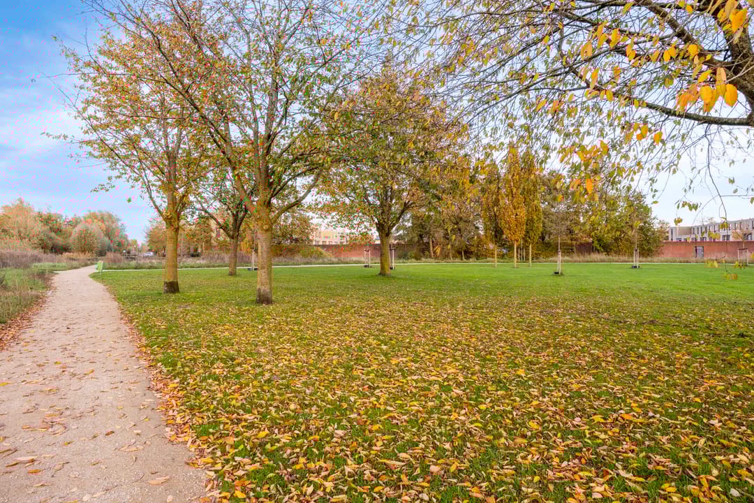 Photo 32 of Musketier 8