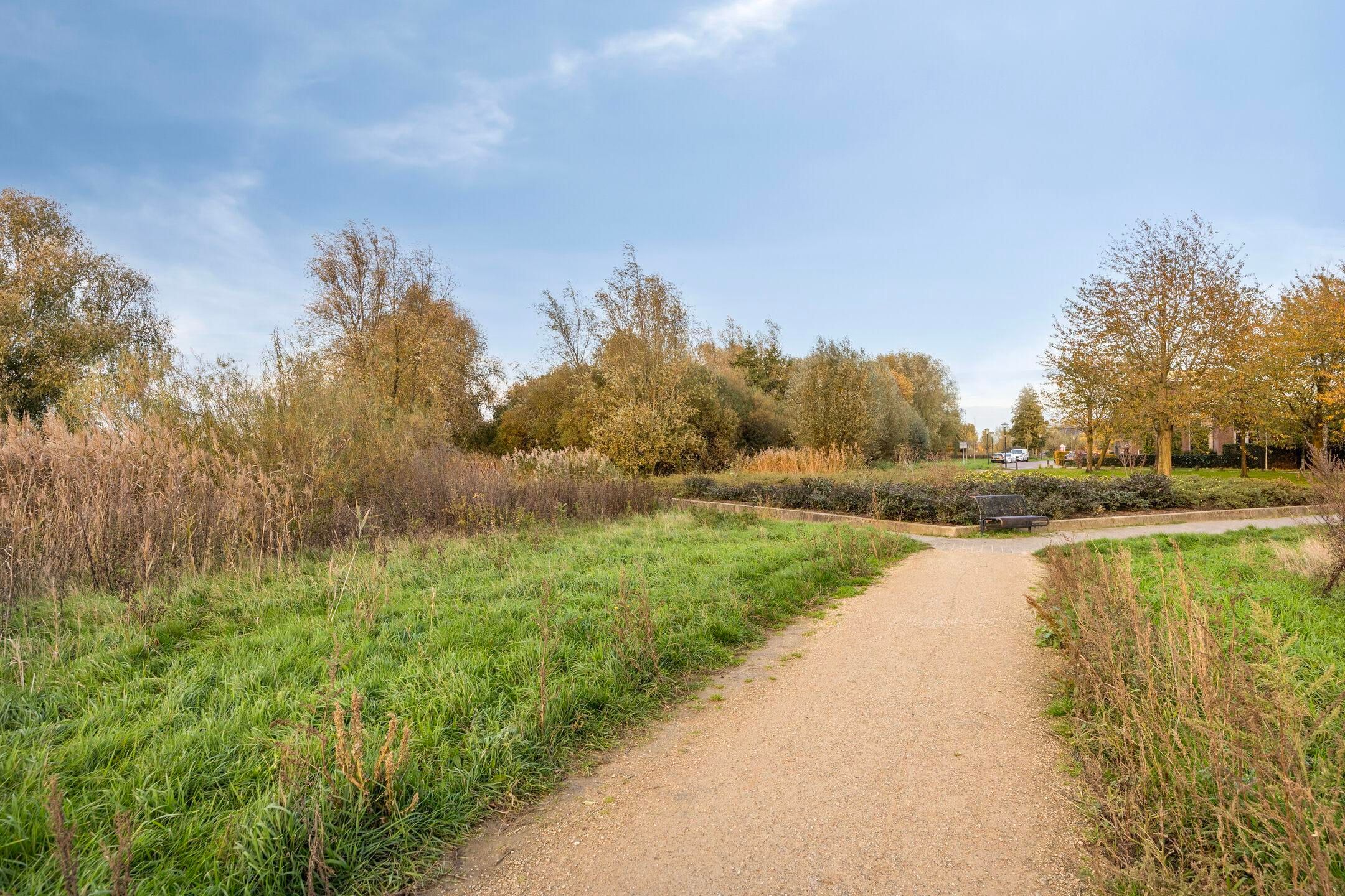 Photo 33 of Musketier 8