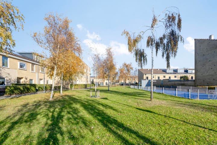 Photo 33 of Het Oerd 75