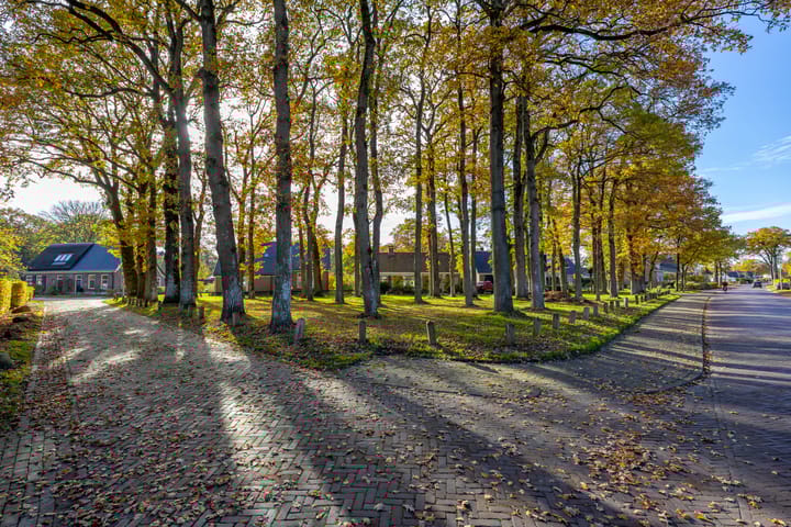 Foto 52 van Tortelstraat 2