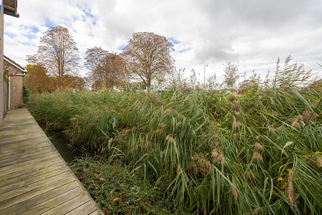 Photo 23 of Sperwerstraat 17