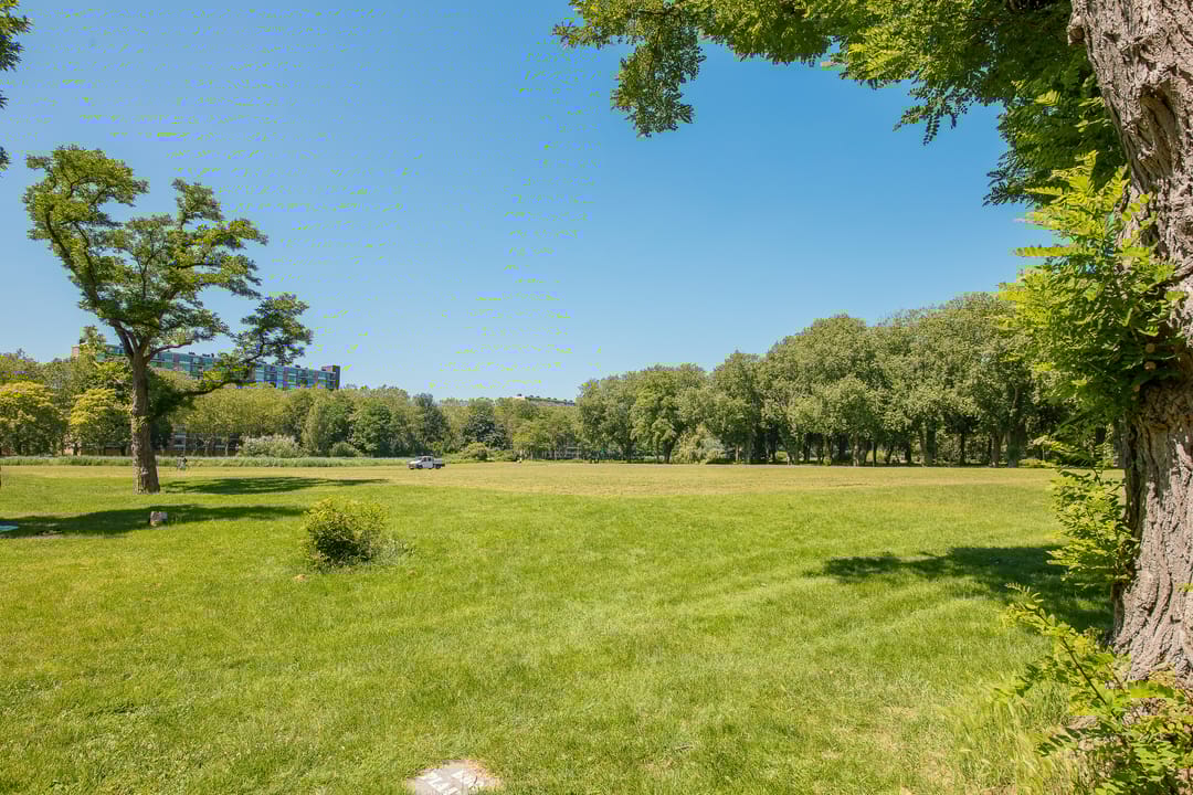 Foto 37 van Aziëlaan 720