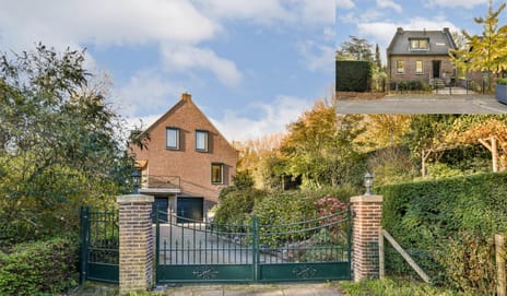 undefined main image