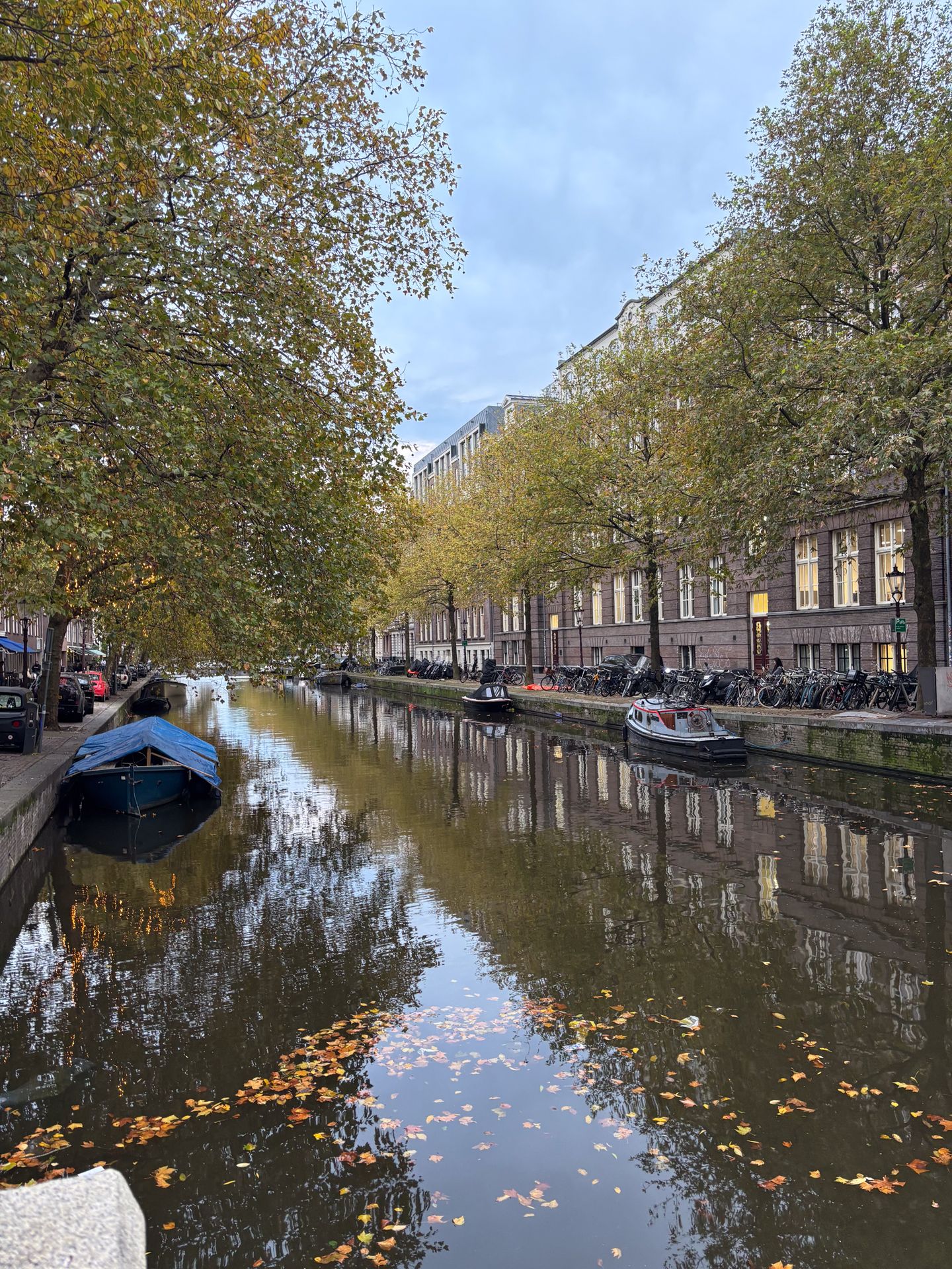 Photo 20 of Leidsekruisstraat 19-4