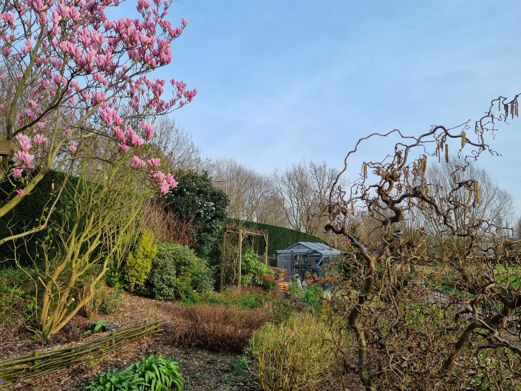 Foto 36 van Charloisse Lagedijk 904