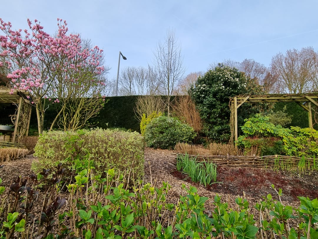 Foto 37 van Charloisse Lagedijk 904