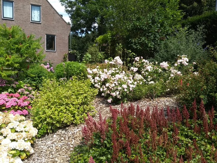 Photo 39 of Charloisse Lagedijk 904