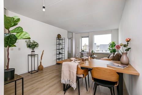 Molenvlietbrink thumbnail