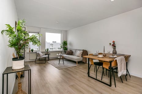 Molenvlietbrink 243 secondary image