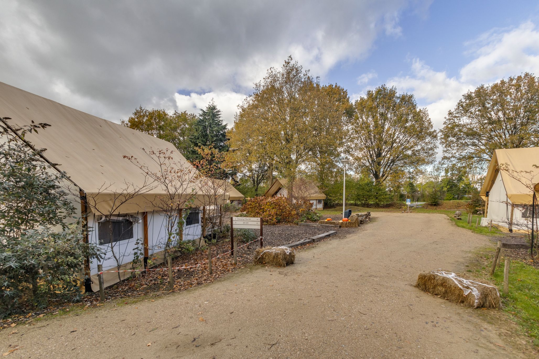 Photo 6 of van Haestrechtstraat 24-176