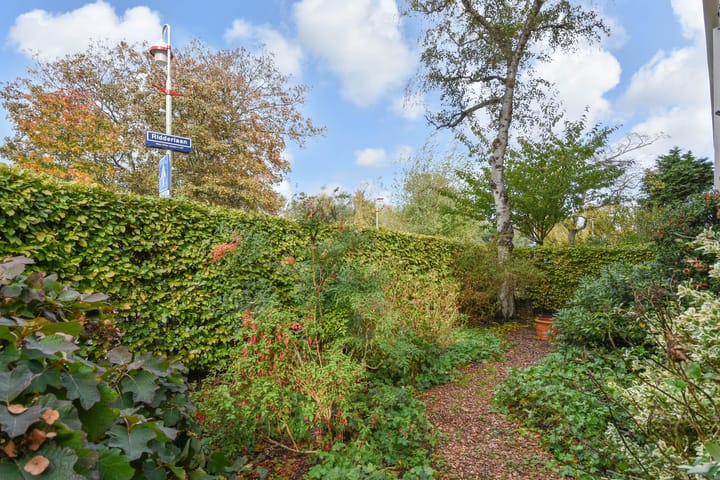 Foto 8 van Ridderlaan 1
