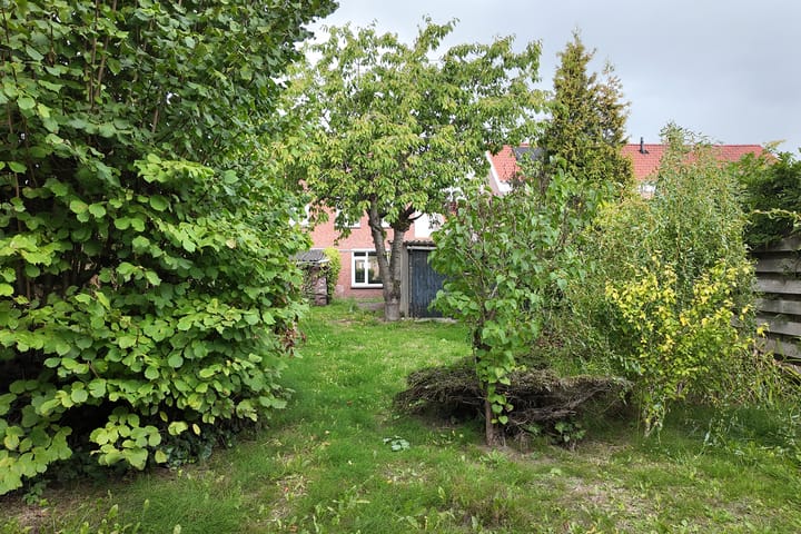 Photo 59 of Philips Willemstraat 37