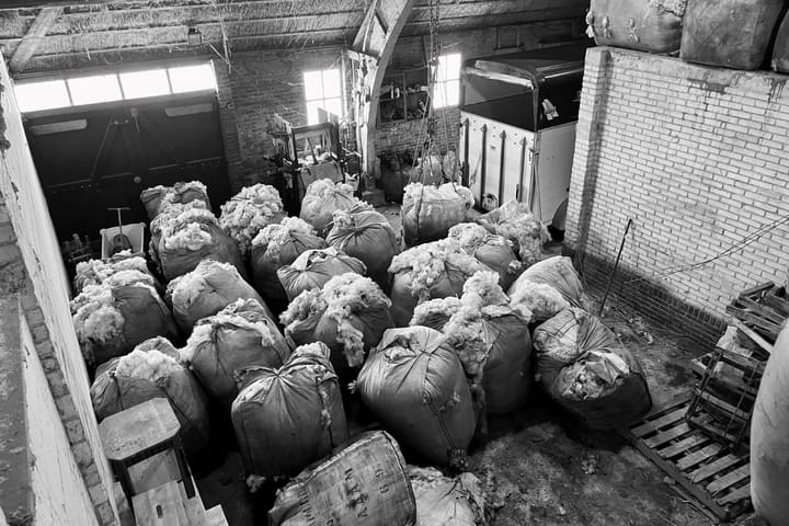 Foto 23 van Ongeren 15