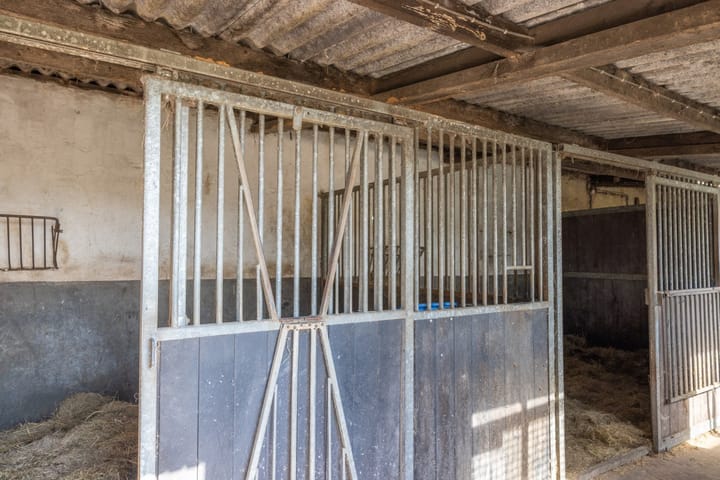 Foto 27 van Ongeren 15