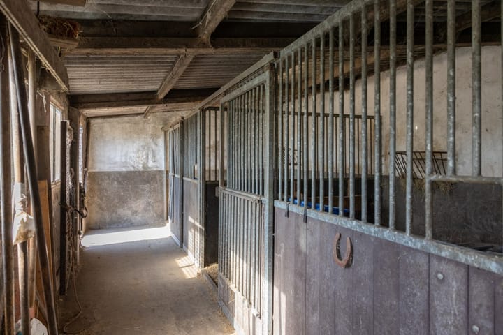 Foto 28 van Ongeren 15