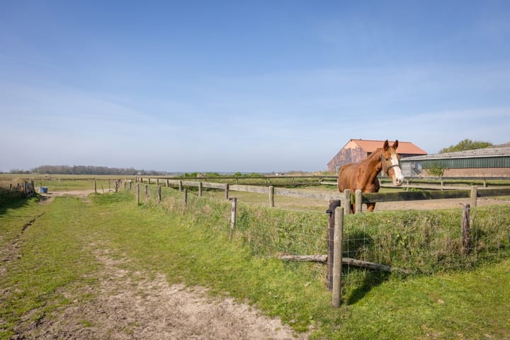 Foto 29 van Ongeren 15