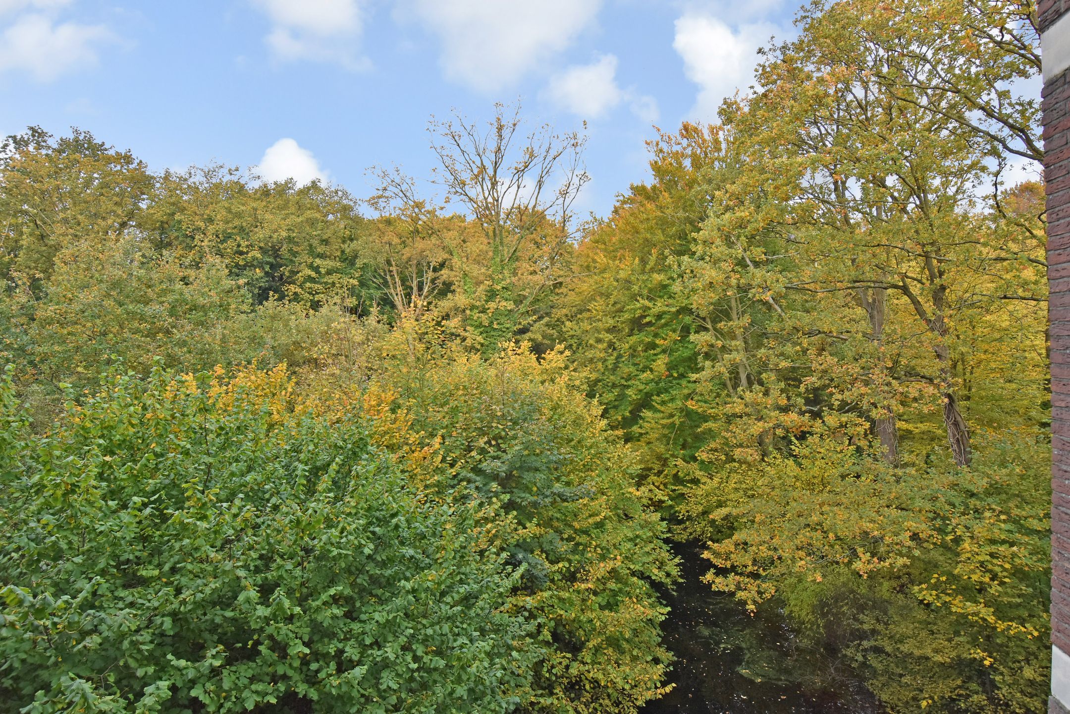 Foto 27 van Boslaan 159