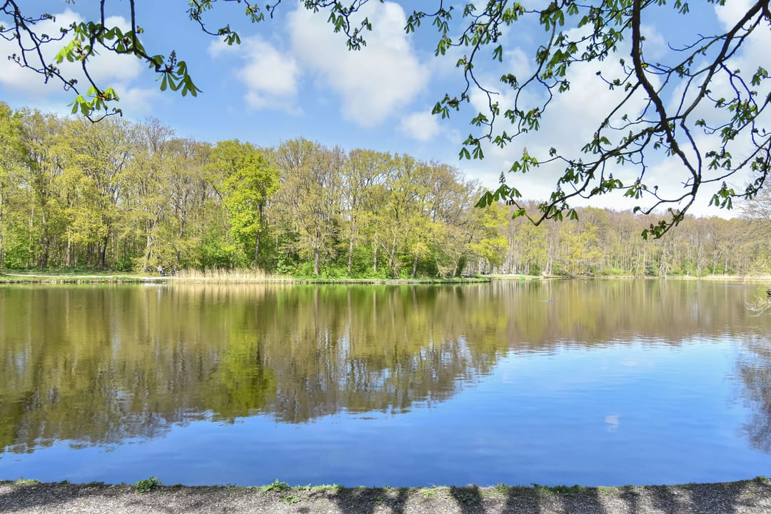 Foto 28 van Boslaan 159