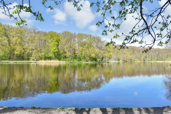 Foto 28 van Boslaan 159