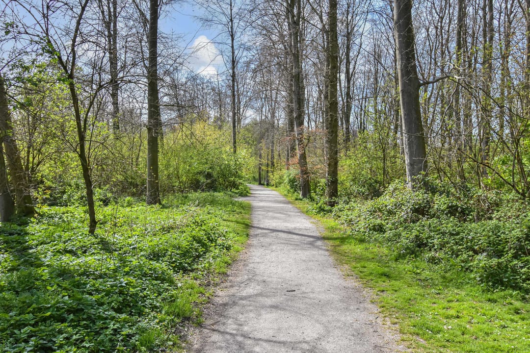 Foto 32 van Boslaan 159