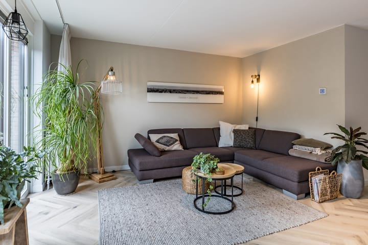 Photo 2 of Okkernoot 20