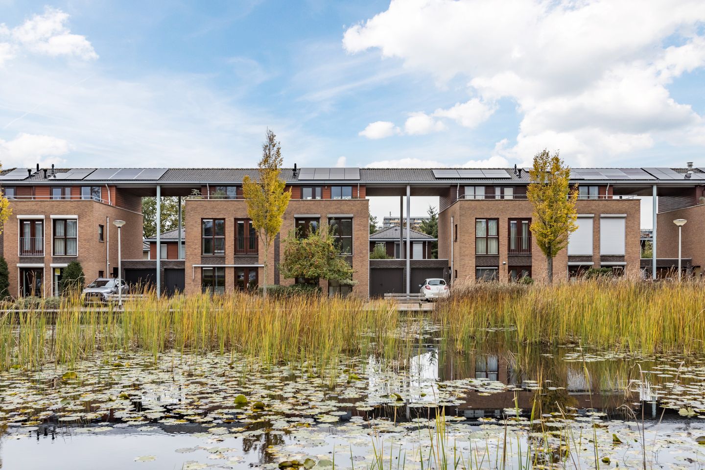 Foto 5 van Okkernoot 20