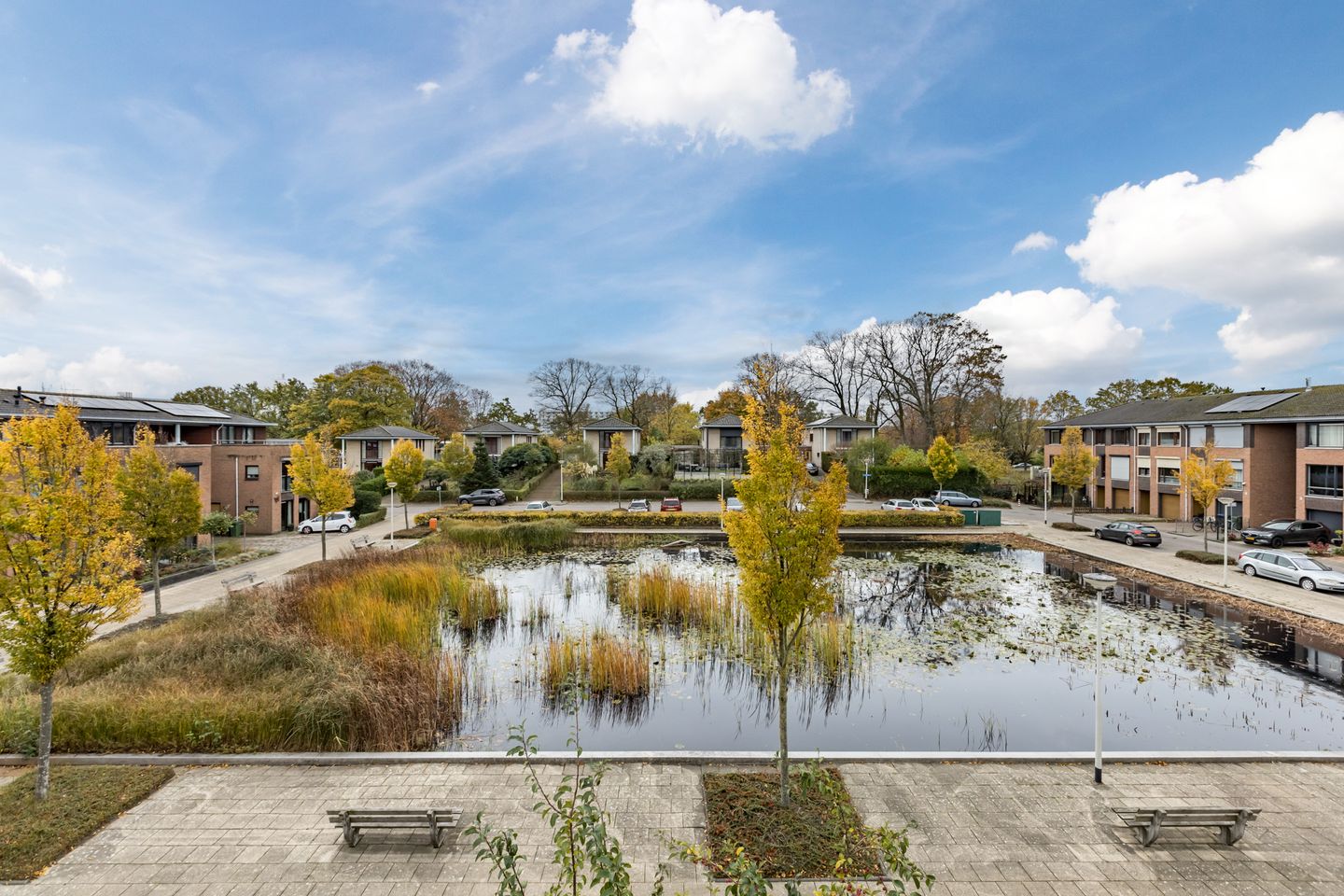 Foto 50 van Okkernoot 20