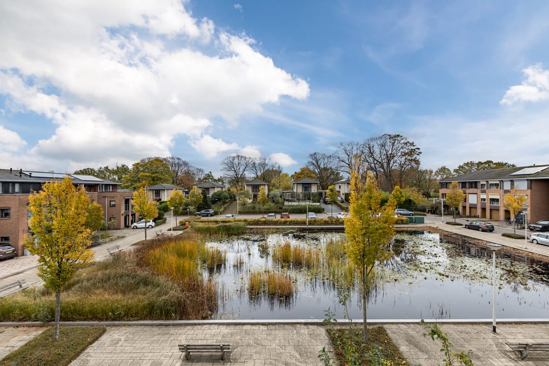 Foto 52 van Okkernoot 20