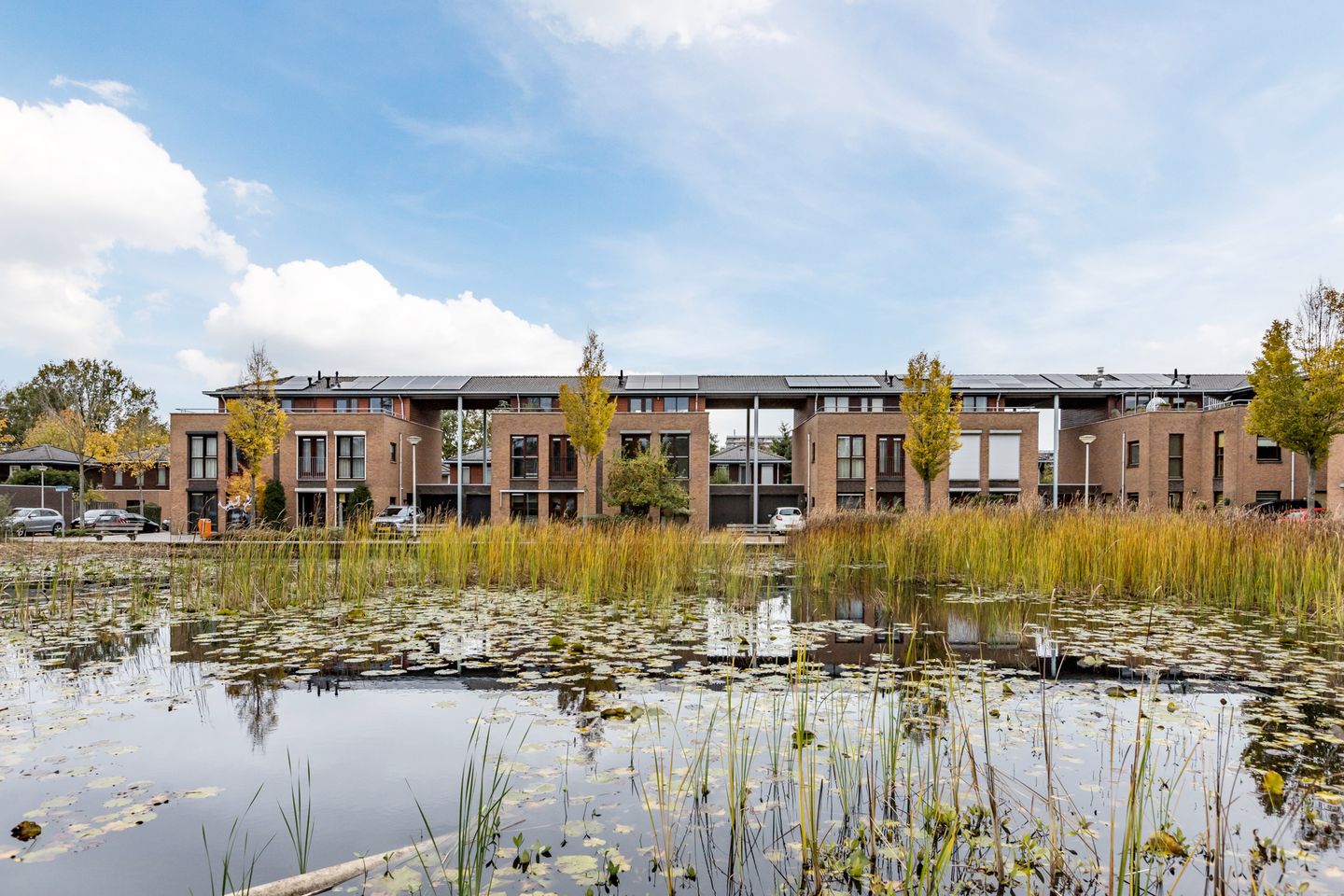 Foto 64 van Okkernoot 20