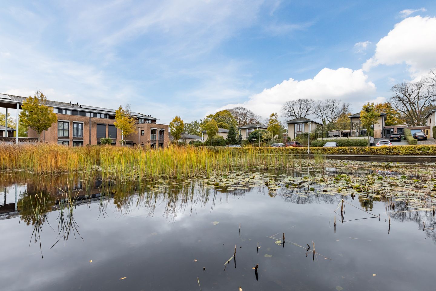 Foto 65 van Okkernoot 20