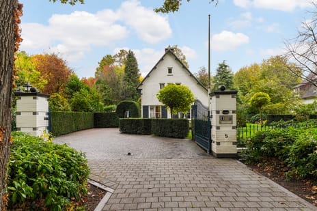 van Brederodelaan thumbnail