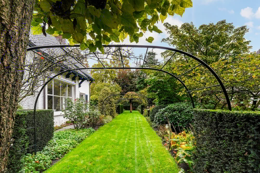 Foto 61 van van Brederodelaan 5