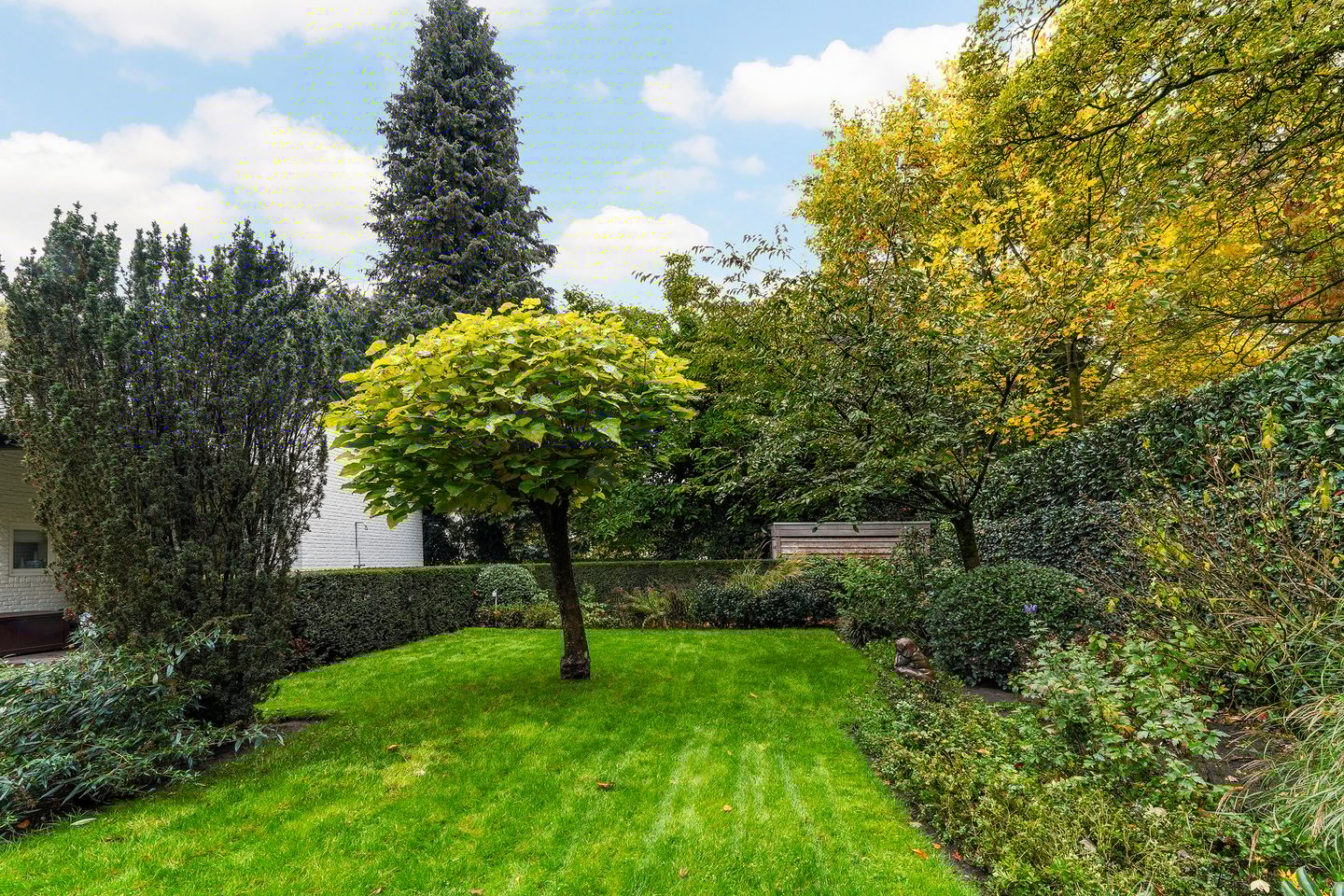 Foto 64 van van Brederodelaan 5