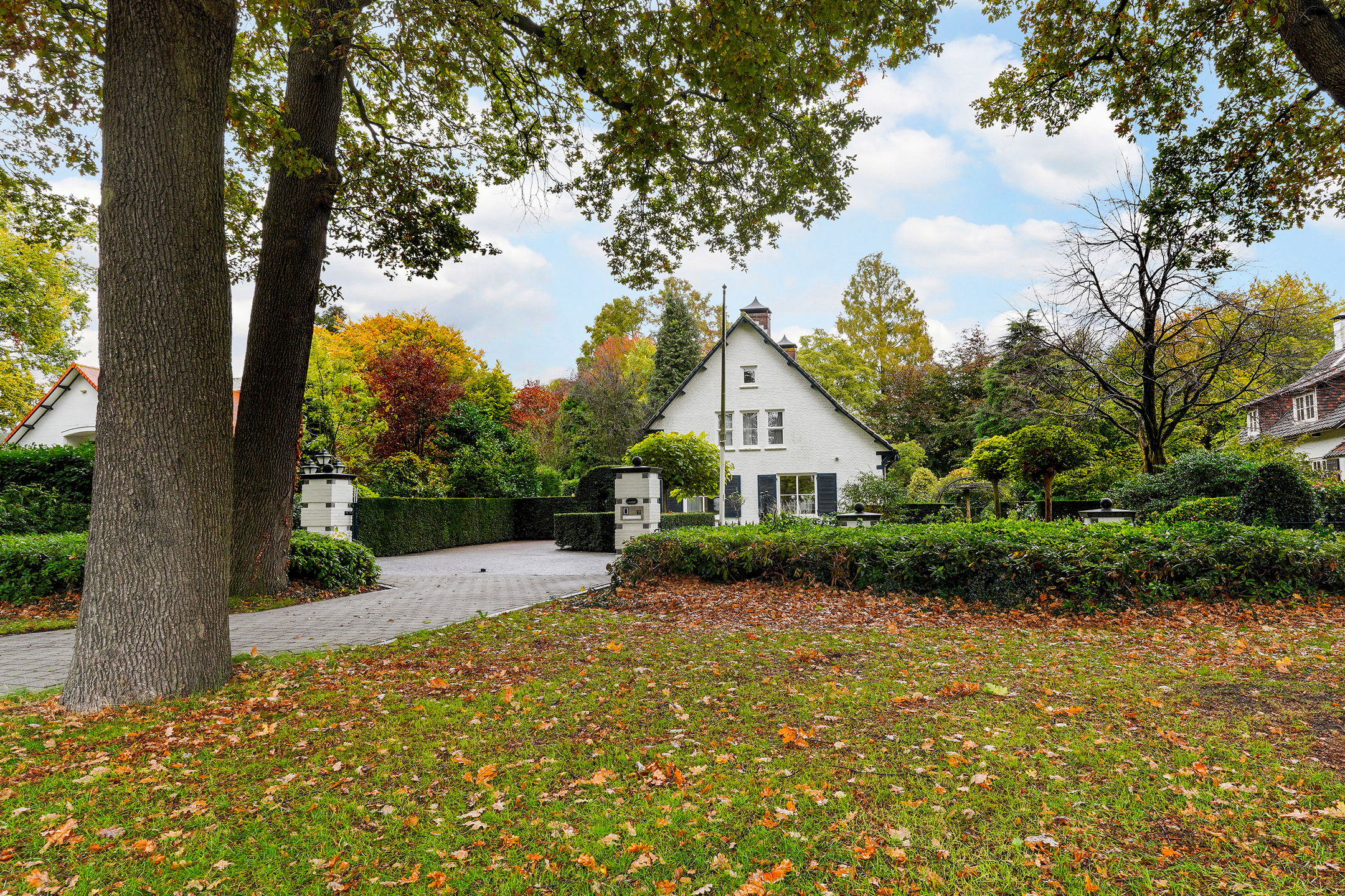 Foto 69 van van Brederodelaan 5