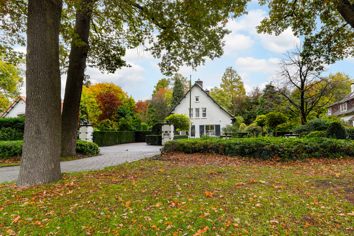 Foto 69 van van Brederodelaan 5