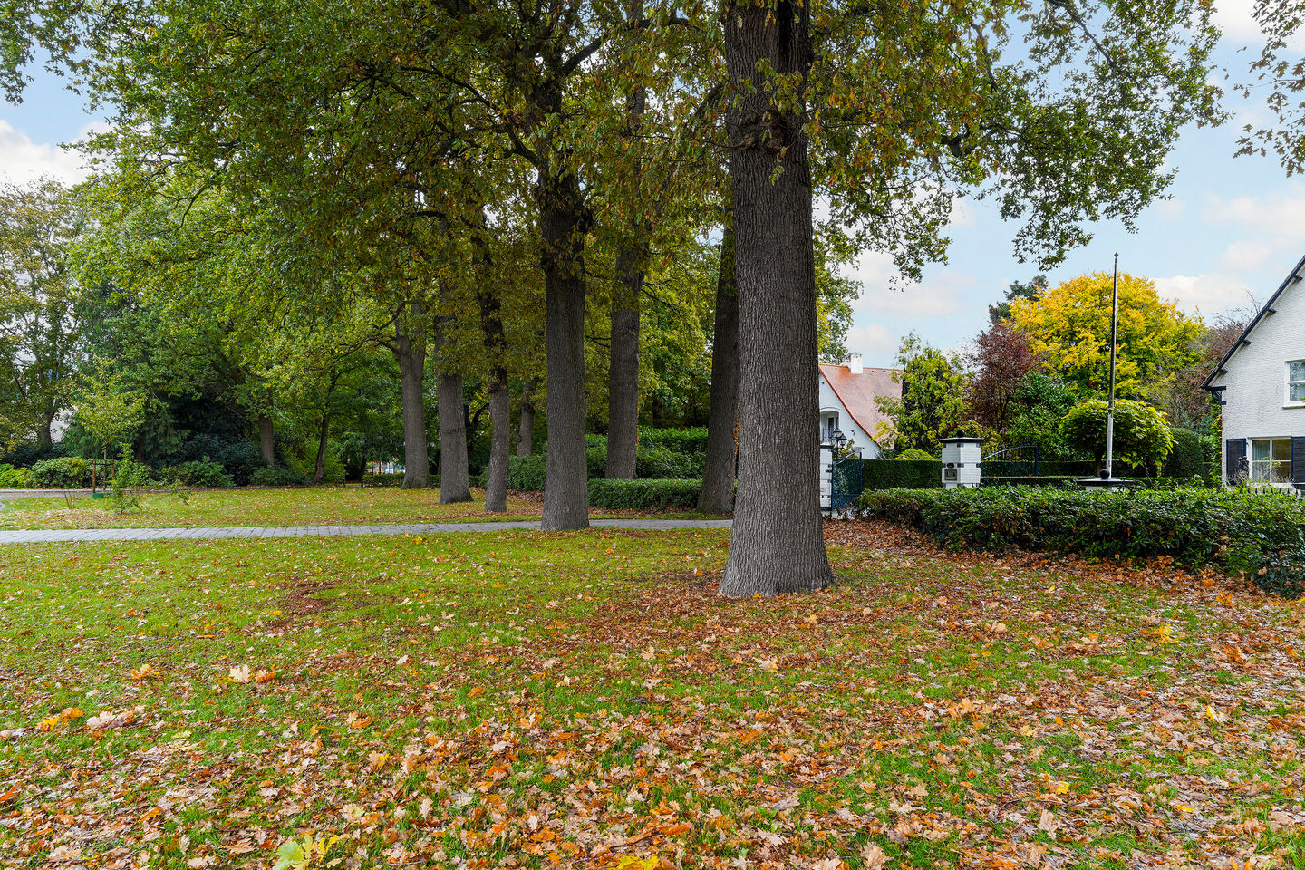 Foto 70 van van Brederodelaan 5