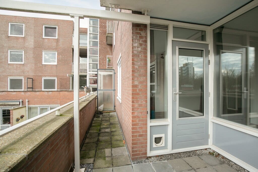Foto 4 van Rupelmonde 80
