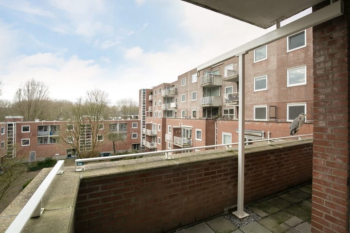 Foto 17 van Rupelmonde 80