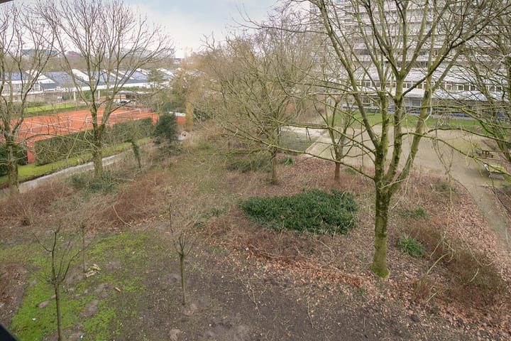 Foto 22 van Rupelmonde 80