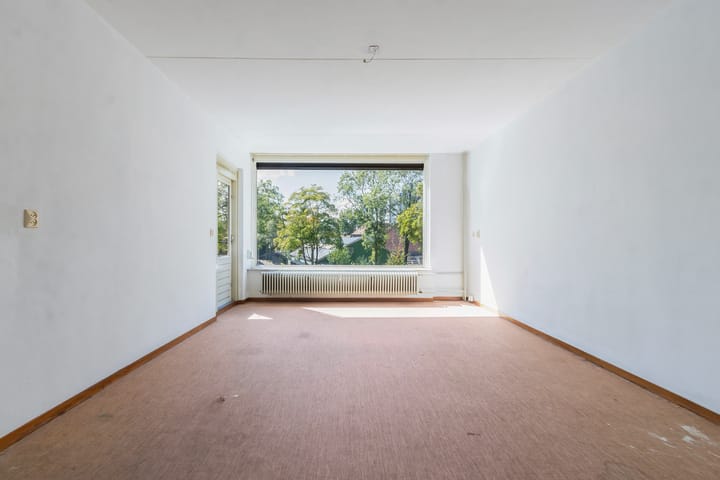 Foto 2 van Campanula 82