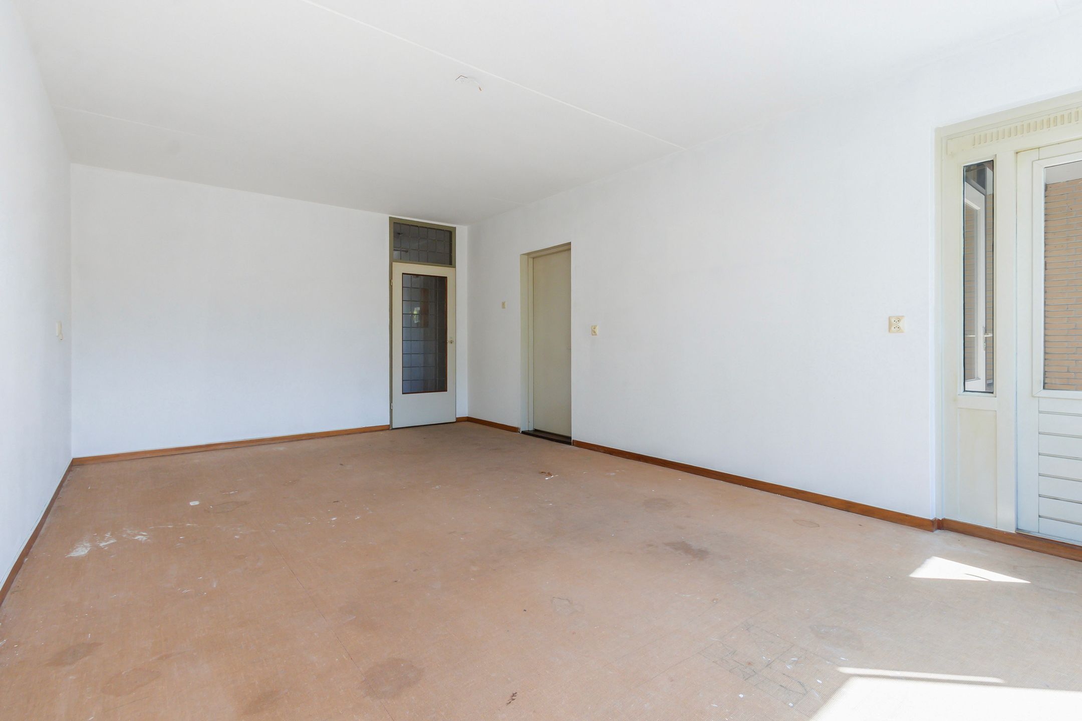 Foto 3 van Campanula 82