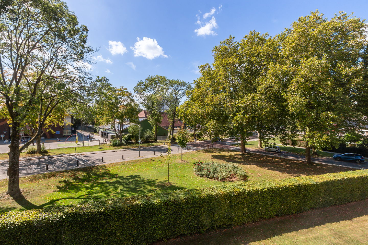 Foto 4 van Campanula 82