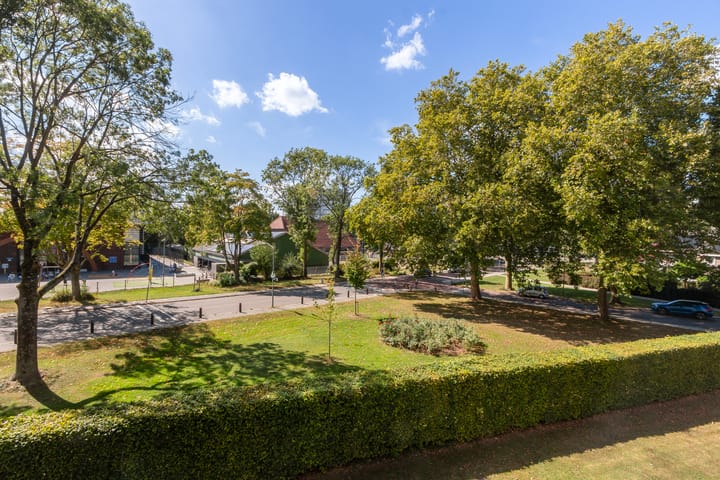 Foto 4 van Campanula 82