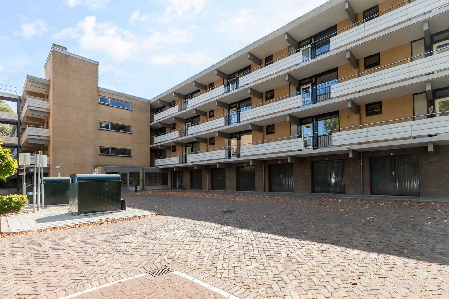 Foto 5 van Campanula 82